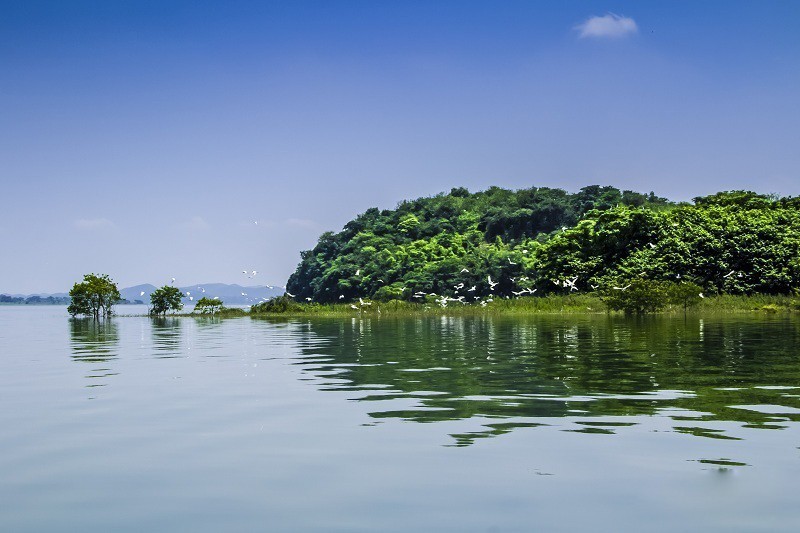 成都-九牟-峨樂(lè)-都青 全景特惠進(jìn)店8日游